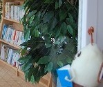 s-DSC_教育支援入口.jpg